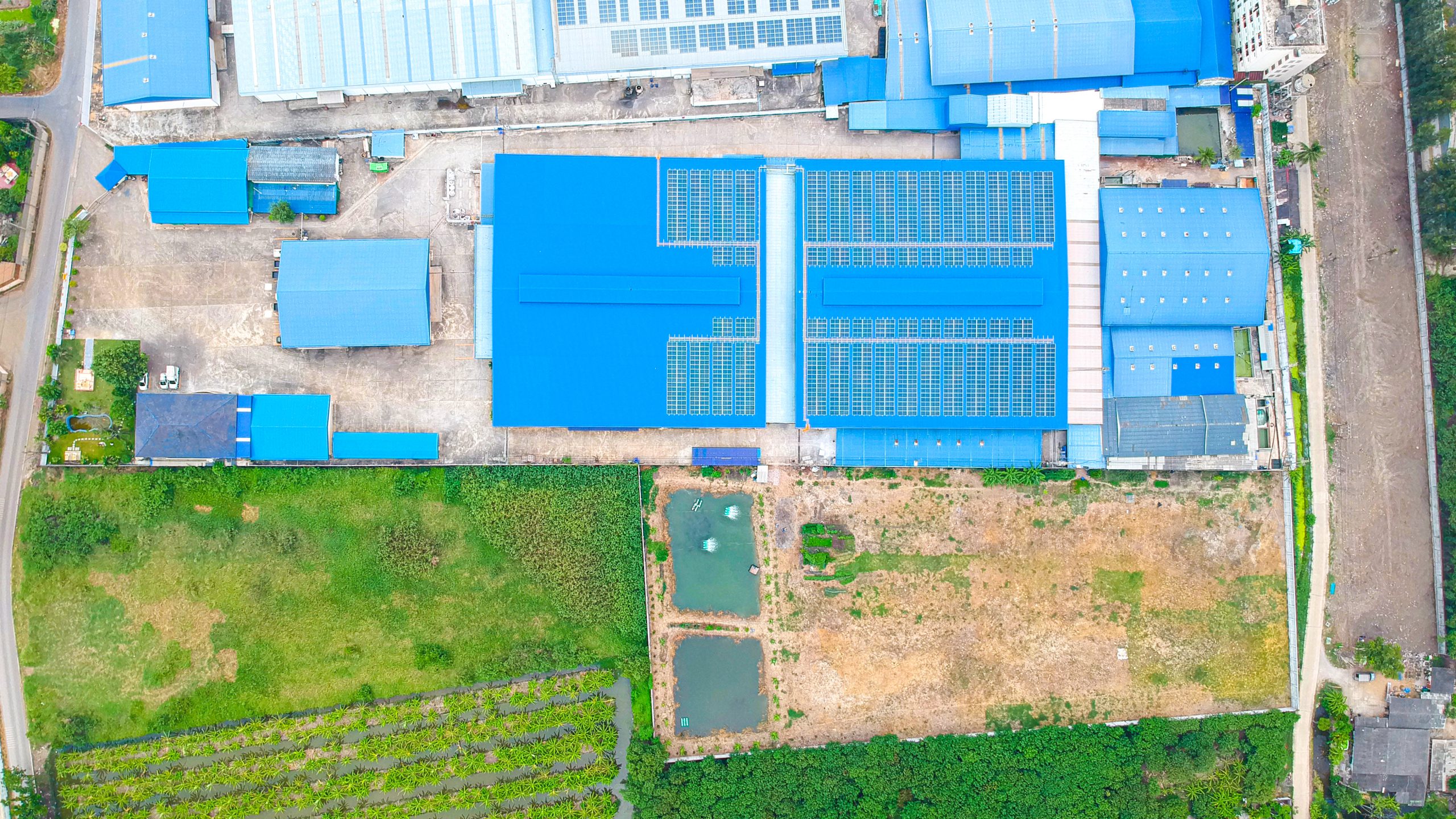 DCIM/101MEDIA/DJI_0298.JPG