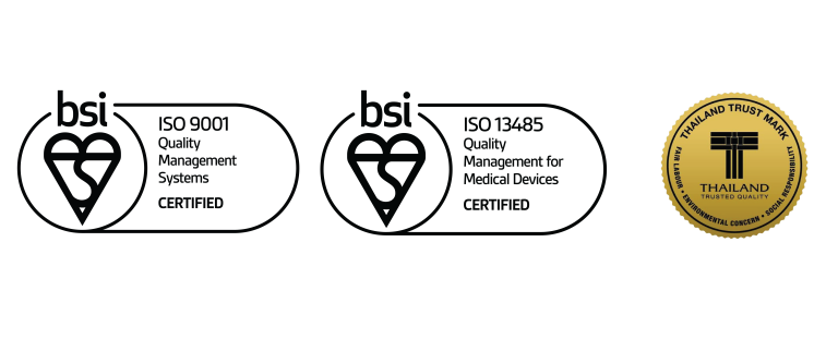 Logo BIS 9001 13485 T-01